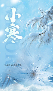 小寒节气海报图片展板