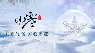 小寒节气雪花飘落景致