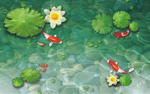 池塘锦鲤与水生花卉景观