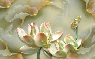 梦幻莲花绽放美景