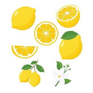 柠檬插画合集