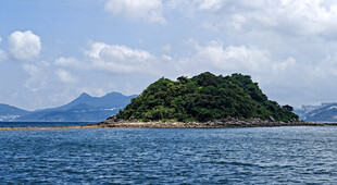 香港桥咀洲岛