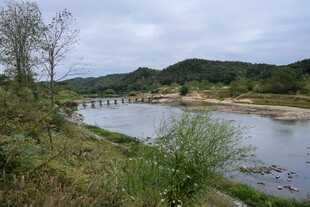 河畔风光