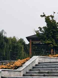秋日台阶旁的缤纷花卉景观