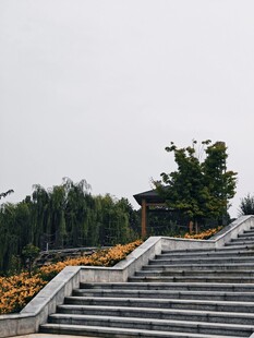 石阶旁的绿植与花卉景观