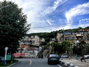 乡村公路旁的静谧村落