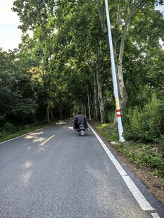 林间公路上的骑行者