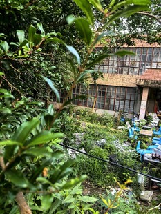 绿植环绕的户外休闲空间