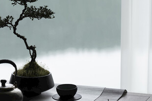 中式茶桌盆景雅致场景