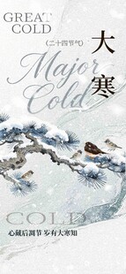 大寒时节雪景