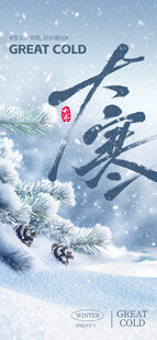 大寒节气雪景图