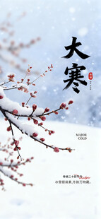 大寒时节枝头雪景
