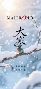大寒时节枝头雪景