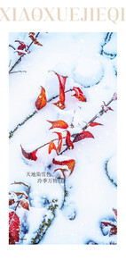 小雪节气雪景插画