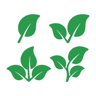 绿叶图标合集