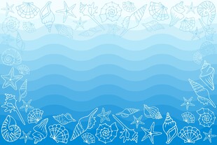 海洋贝壳背景
