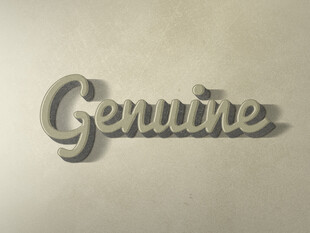 立体质感Genuine字样