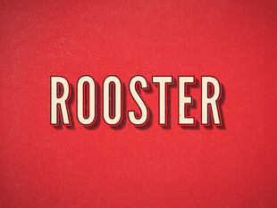 红色背景上的ROOSTER