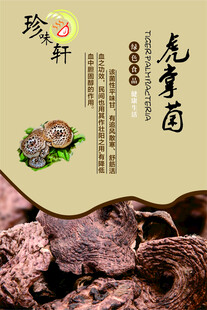 珍稀虎掌菌 尽显山野风味