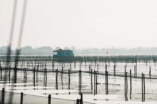 水上养殖场景