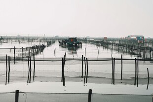 河边围栏景观