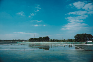 宁静湖面
