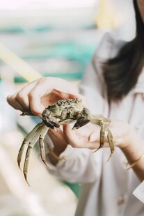 手捧鲜活螃蟹