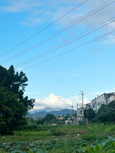 乡村