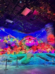 珊瑚长老
