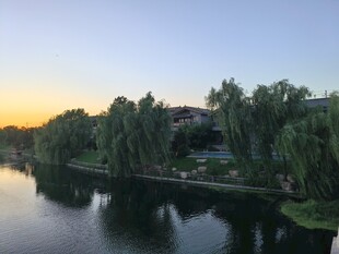 河畔夕阳垂柳美景