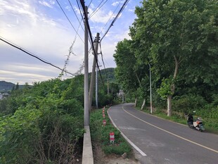 乡村公路旁的绿意与骑行者