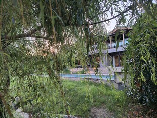 林间静谧小屋