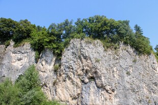 陡峭岩壁上的葱郁植被