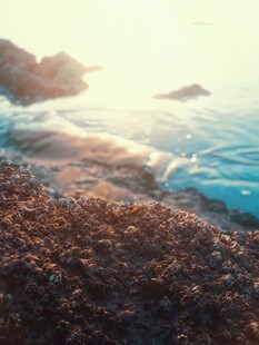 海边日出时的沙石与海浪