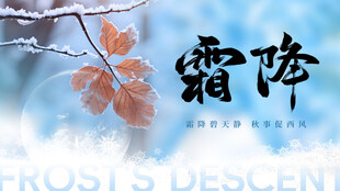 霜降时节枝头景