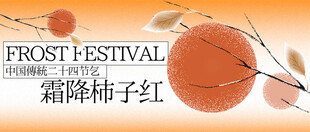 霜降柿子红秋意正浓