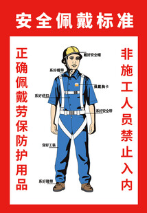 安全佩戴标准示范图