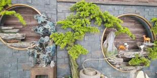 中式庭院绿植装饰景观