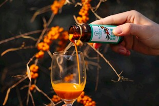 手斟沙棘汁入杯
