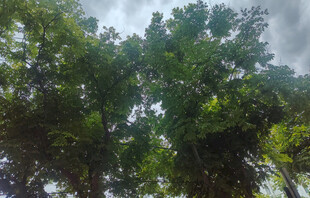 暴风雨来临前天空