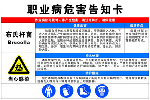布式杆菌职业危害告知卡
