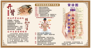 中医背部经络穴位示意图
