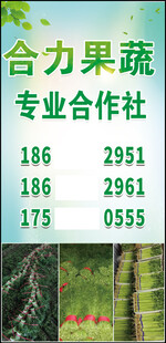 合众果蔬专业合作社