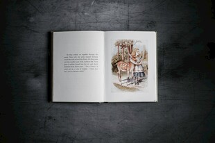 翻开的插画书籍