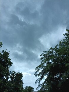 乌云密布下的绿树景象