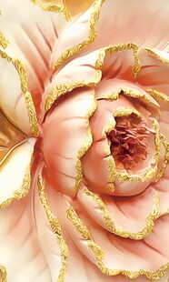 粉色金边立体花朵特写