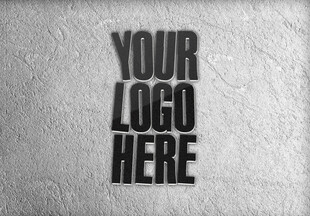 logo展示模板
