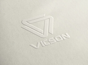 白色背景上的VISION标志
