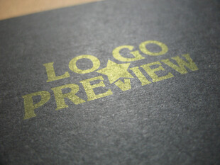 金色LOGO预览效果展示