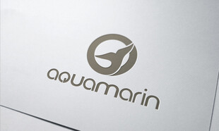 aquamarin品牌标志展示